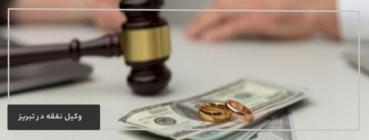 وکیل نفقه